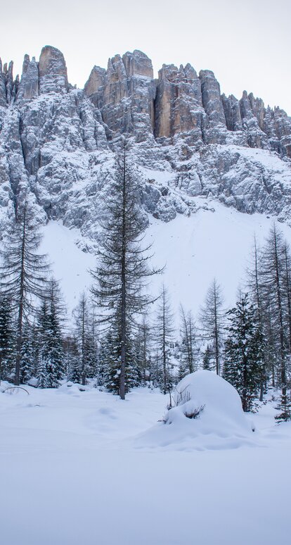 Mitterleger Winter Latemar snow-covered | © Alexandra Näckler