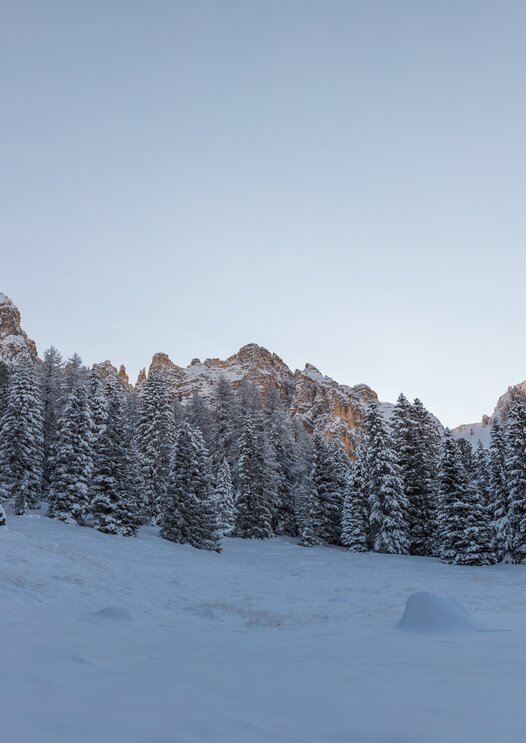 Meadow full of snow and Latemar mountain | © Günther Pichler