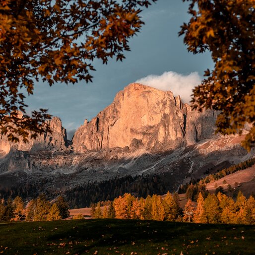 Rosengarten illuminated red trees in autumn mantle | © Gabriel Eisath