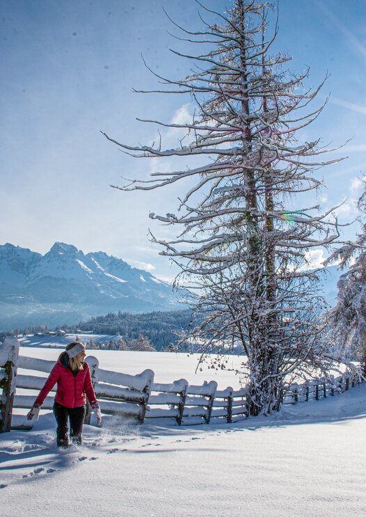 Paesaggio invernale innevato intorno al Latemar | © Alexandra Näckler